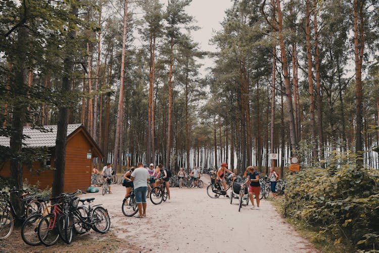 Cyclists Meeting In Forest