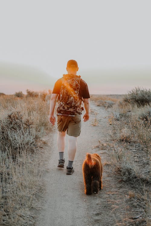 A Person and a Dog Walking on Trail