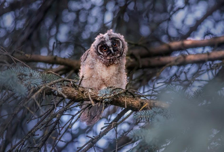 The PhD Application Process: A Comprehensive Guide - Featured Image