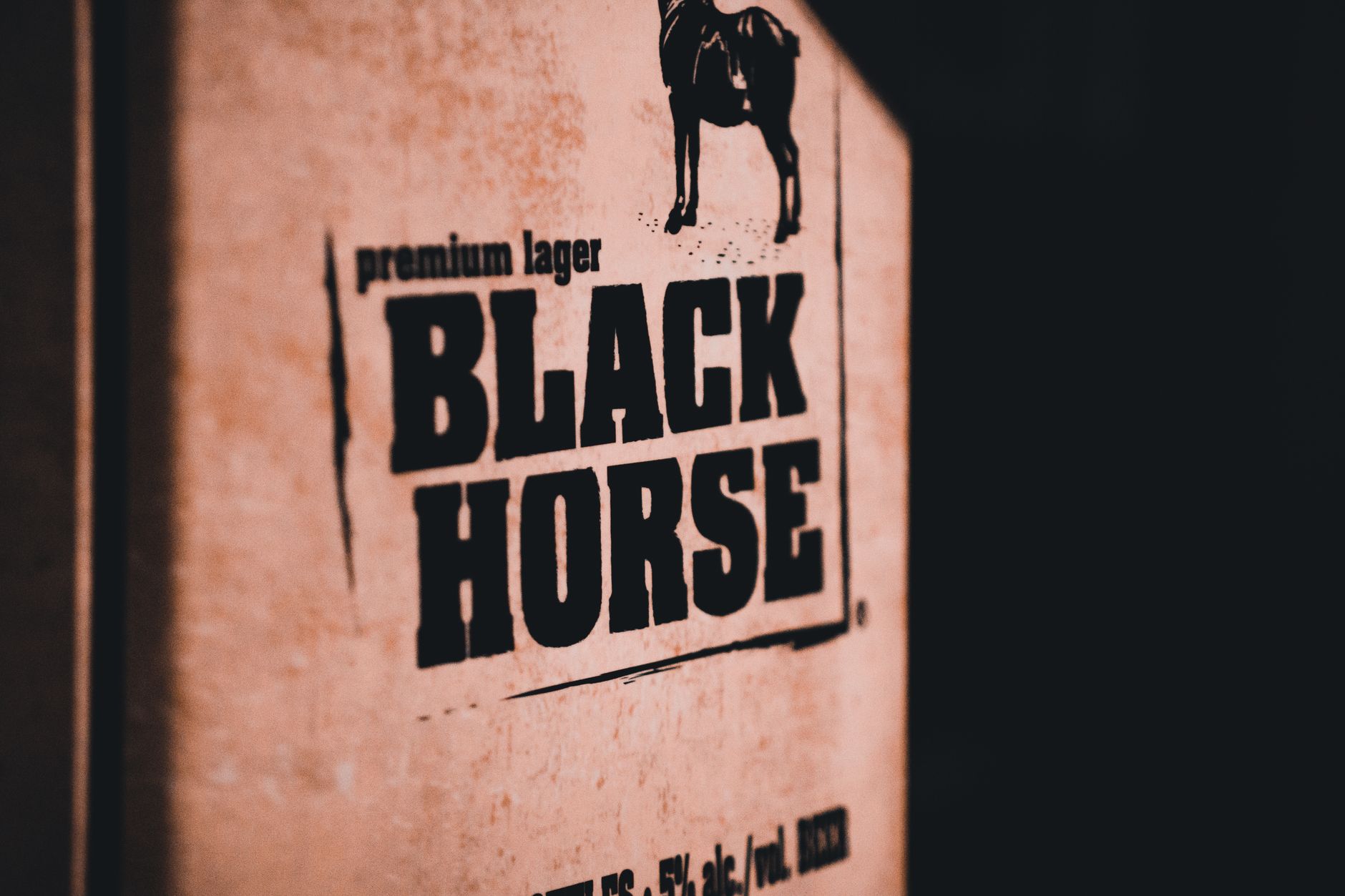 Fall „Dark Horse": Veröffentlichung nach der Wahl, Gutachten und Ermittlung am STF – sehen Sie sich die Details des Films über Bolsonaro an