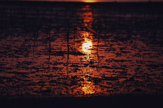 A mesmerizing sunset reflecting off wet sand, capturing the essence of tranquility.