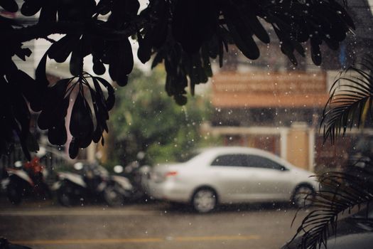 Blurry view of a sedan on a rainy roadside with green leaves in the foreground.