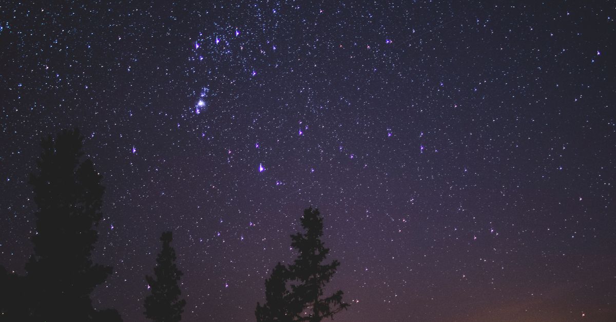 A serene night sky with visible constellations and silhouetted trees under a clear starry sky.