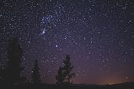 宁静的夜空下，清晰的星空中可见星座和树木的剪影