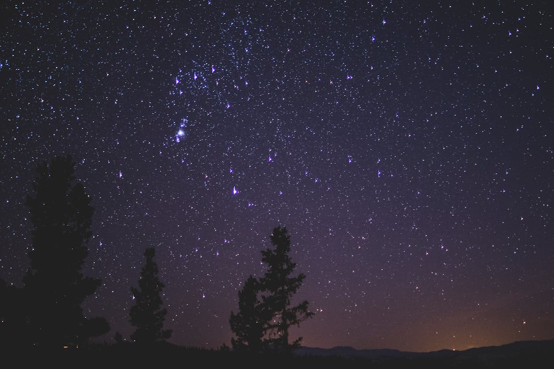 Imagine de stoc gratuită din arbori, Astrologie, astronomie