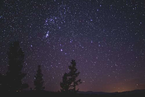 Evening Sky Watch: Stars And Planets Visible