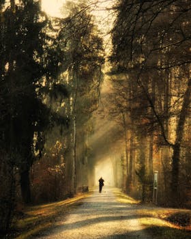 在瑞士温特图尔，一个剪影走在阳光普照的森林小径上