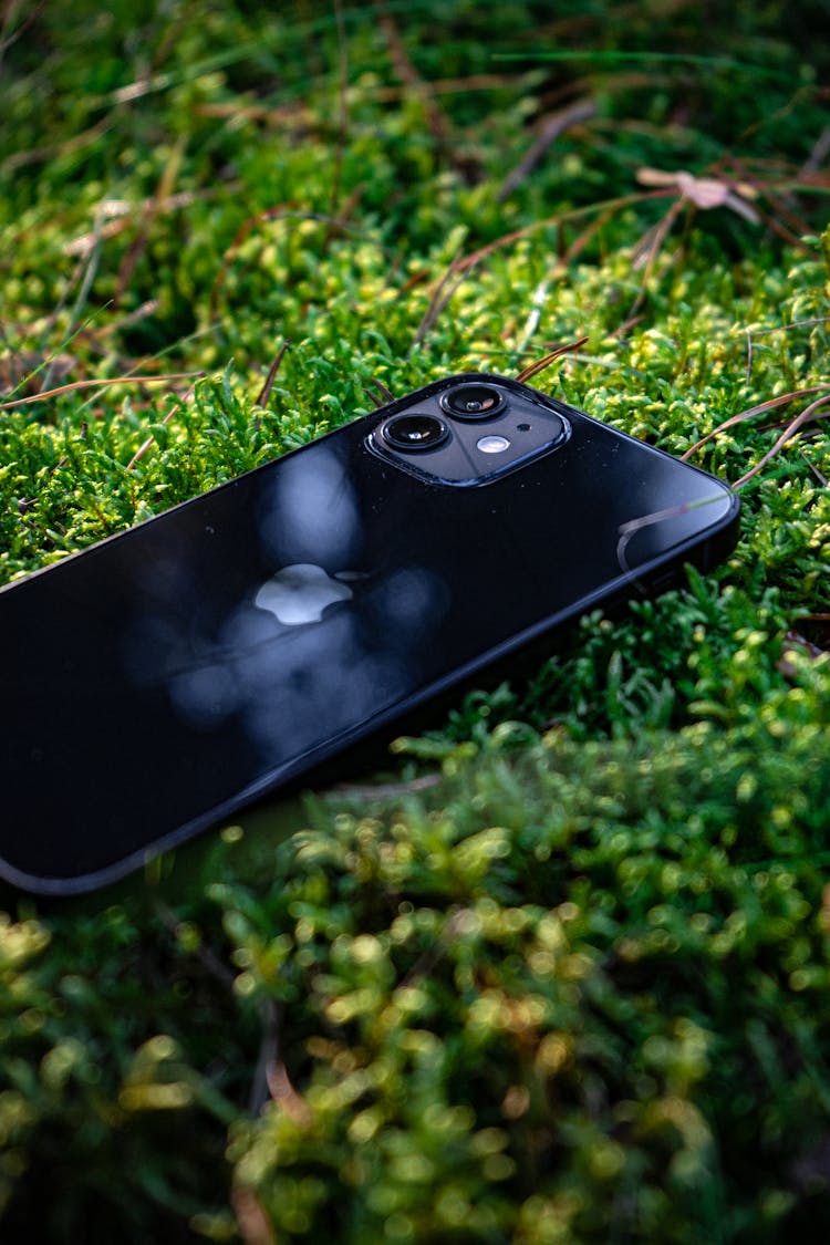 Iphone Lying On Grass