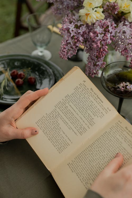 Fotobanka s bezplatnými fotkami na tému čítanie, držanie, exteriéry