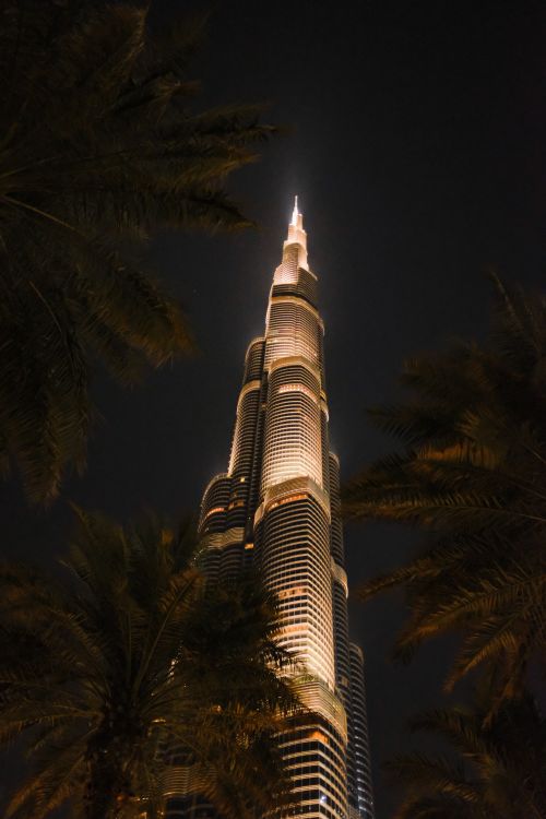 Free Stunning view of the Burj Khalifa illuminated against the night sky surrounded by palm trees. Stock Photo