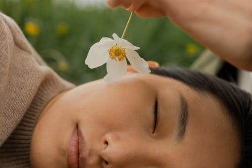 Free Gratis stockfoto met aan het liegen, Aziatische vrouw, bloem Stock Photo
