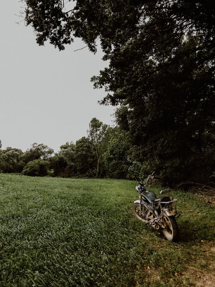 Vintage Motorbike On A Field