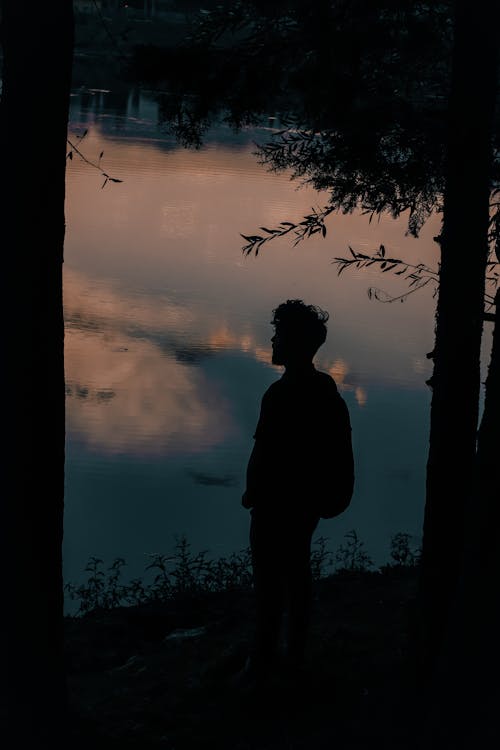Silhouette of Man Standing Near Tree during Sunset