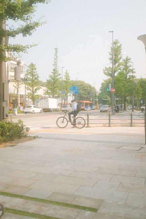 Free Man on bicycle commuting through sunny city streets lined with trees and vehicles. Stock Photo