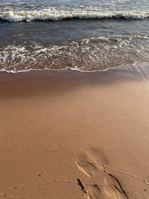 Free Gentle ocean waves lapping at a pristine sandy shore under a clear sky. Stock Photo