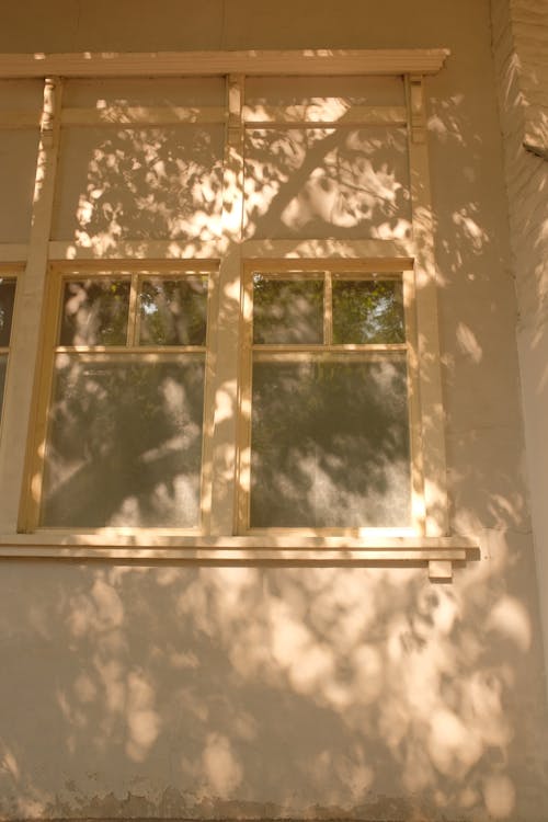 Window of a Concrete Building