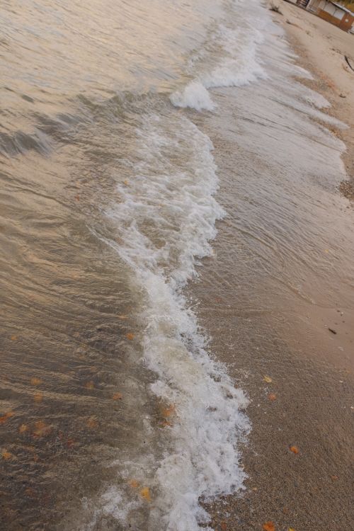 Free Serene beach scene with gentle waves softly lapping on the sandy shore at sunset Stock Photo
