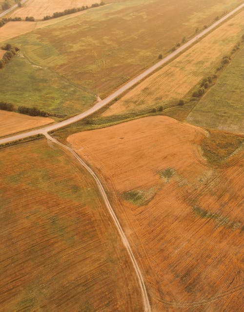 An Aerial Shot of a Road in the Countryside