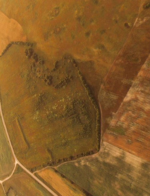 Aerial Footage of a Cropland 