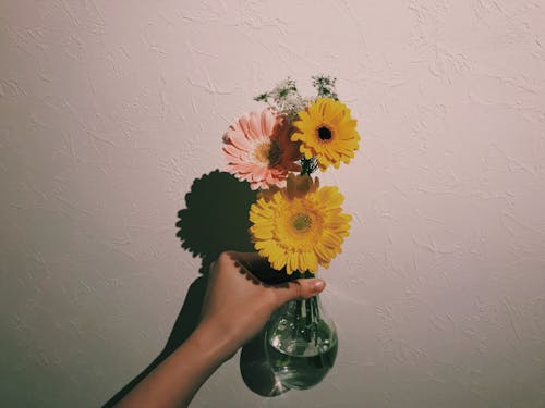 花と透明なガラスの花瓶を持っている人