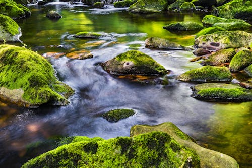 Body of Water With Rocks