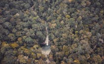 从上方俯瞰，茂密森林的宁静之美尽收眼底，瀑布隐藏在生机勃勃的树叶之中