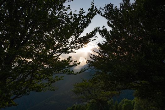 Peaceful dawn with sunlight peeking through mountain trees in a lush landscape.