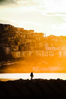 A lone silhouette walks along the seashore with a city skyline and glowing sunset backdrop.