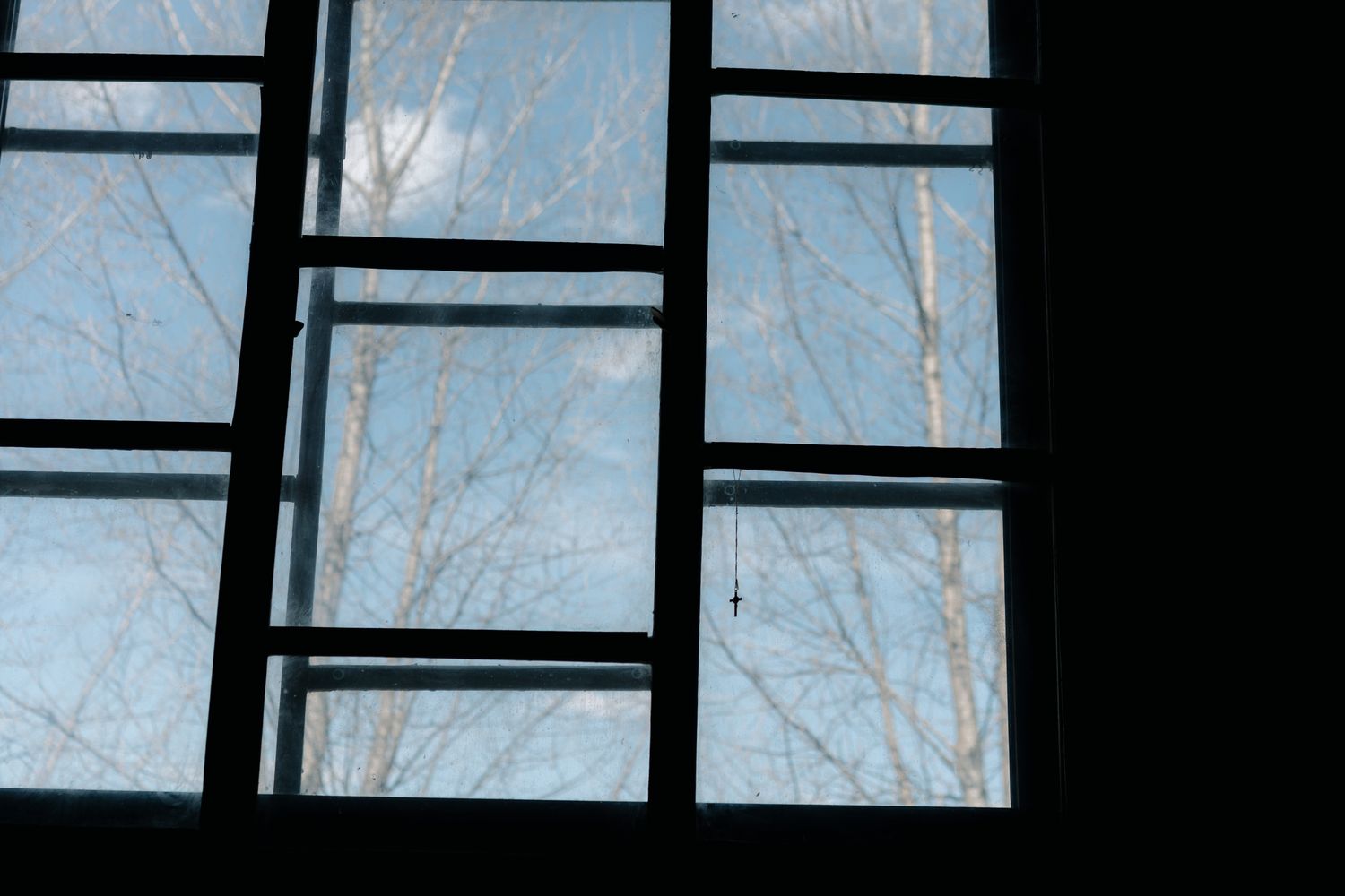 Window Pane Photos, Download The BEST Free Window Pane Stock Photos ...
