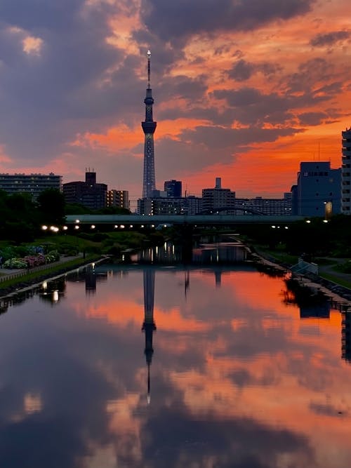 Free stock photo of dramatic sky, golden sunset, tokyo skytree Stock Photo