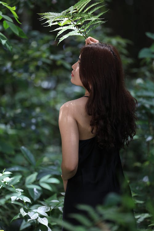 Free Back View of a Woman Holding Plant Stock Photo
