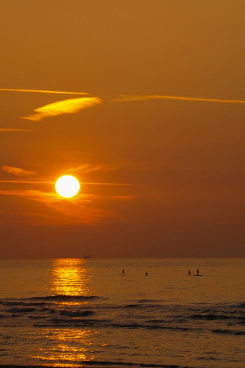 Foto profissional grátis de à beira-mar, alvorecer, beira-mar