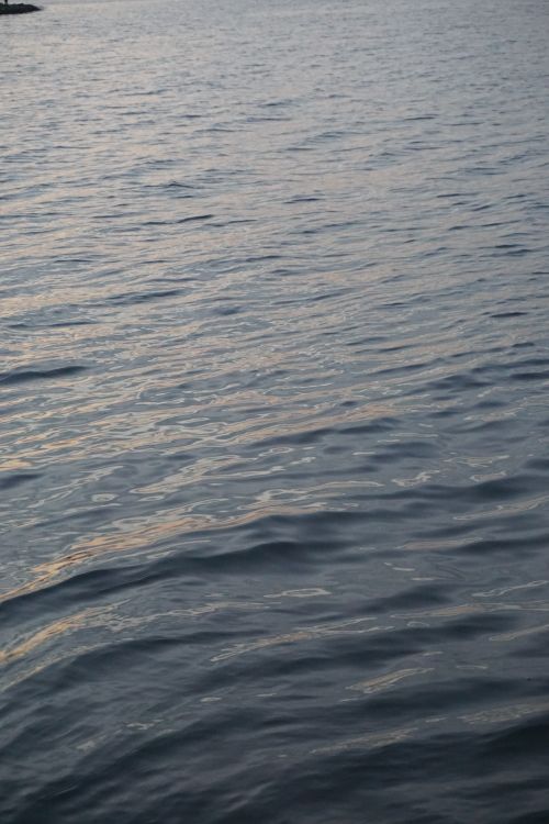 Free Peaceful ocean waves with soft evening light reflecting on the water's surface. Stock Photo