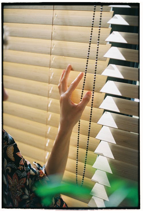 Person Holding Brown Window Blinds
