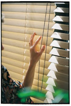 Person Holding Brown Window Blinds