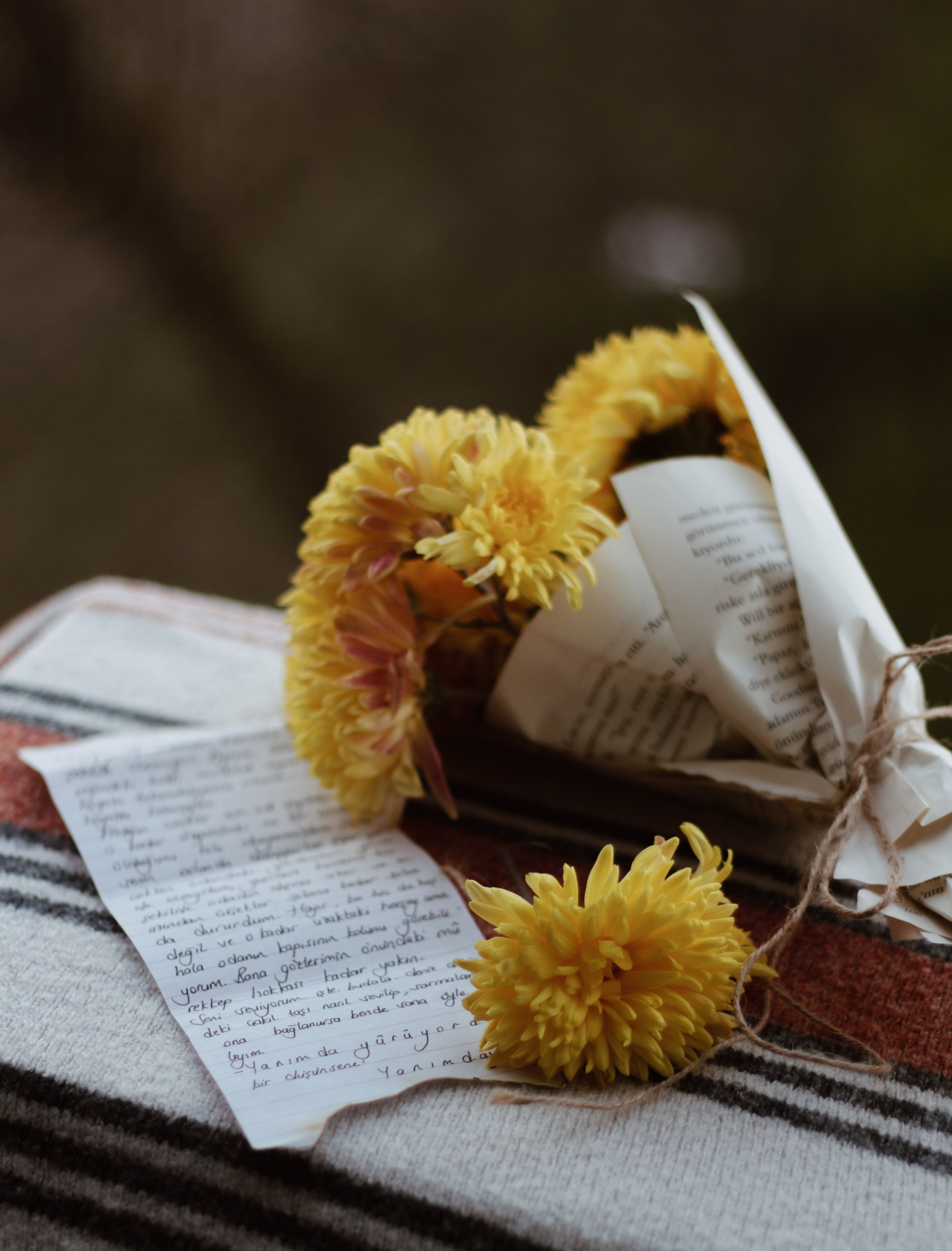 5,351+ Best Free Neutral aesthetic Stock Photos & Images · 100% Royalty-Free HD Downloads