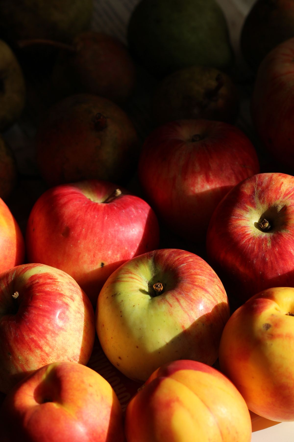 Farm-Fresh Apples
