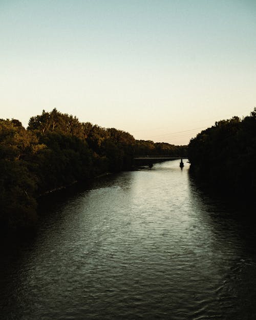 シルエット, 垂直ショット, 川の無料の写真素材