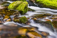 溪流宁静地流过苔藓覆盖的岩石，呈现出柔和的运动模糊效果