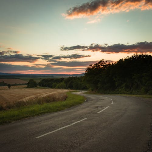 Gray Asphalt Road Between Brown Grass Field and Trees During Sunset