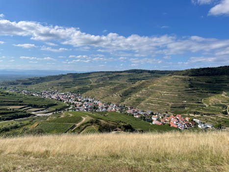 Picturesque view of a rural village surrounded by lush vineyards under a bright blue sky.