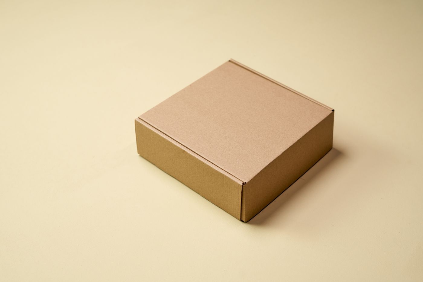 Brown cardboard shipping box on a white table