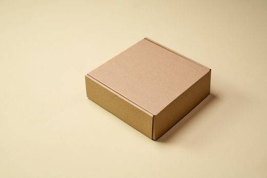 Plain kraft cardboard mailer box — photo by Ron Lach on Pexels