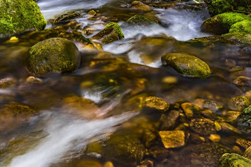 Ilmainen kuvapankkikuva tunnisteilla joki, kivet, luonto Kuvapankkikuva