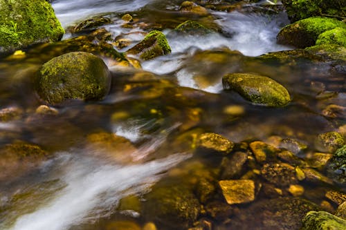 Foto d'estoc gratuïta de a l'aire lliure, aigua, Aigües