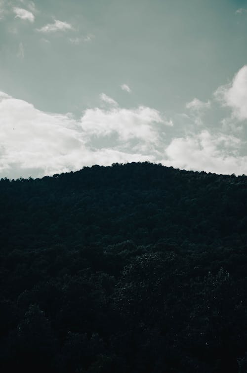 Grayscale Photo Of A Mountain