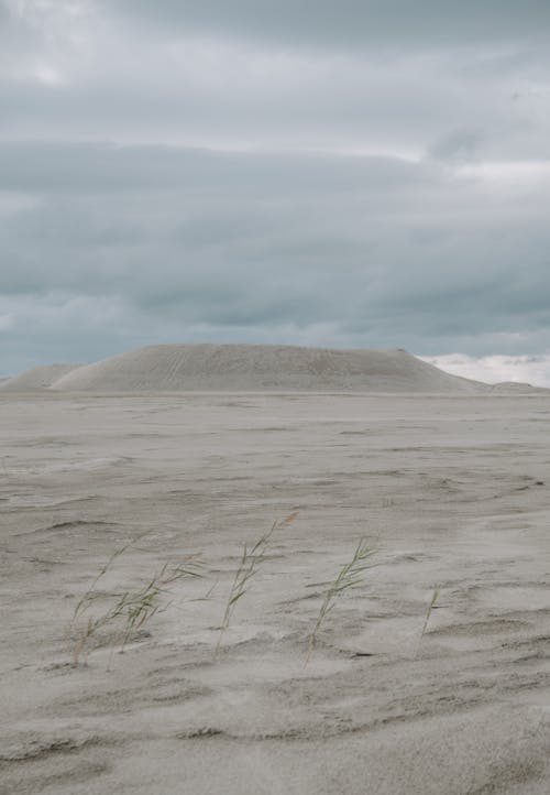 Fotobanka s bezplatnými fotkami na tému arídny, moody neba, neúroda