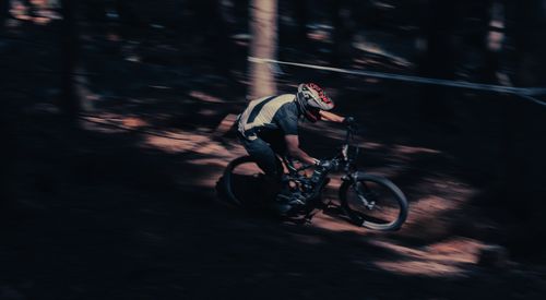 Free A mountain biker wearing a helmet rides swiftly through a wooded trail, capturing motion and excitement. Stock Photo
