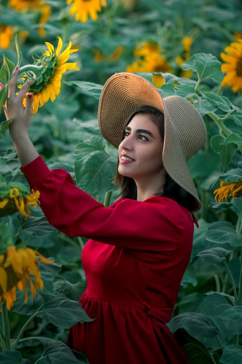 Free A woman in a red dress and hat admiring sunflowers in a lush field, Tehran, Iran. Stock Photo