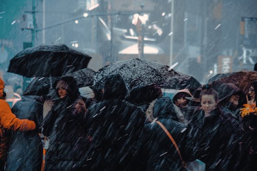 Foto profissional grátis de andando, ao ar livre, clima